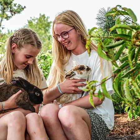 Vakantiehuis Gorgeous In With Wifi Nørre Nebel