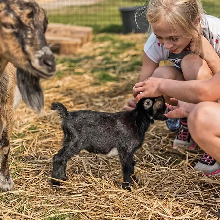 Gorgeous In With Wifi Vakantiehuis Nørre Nebel