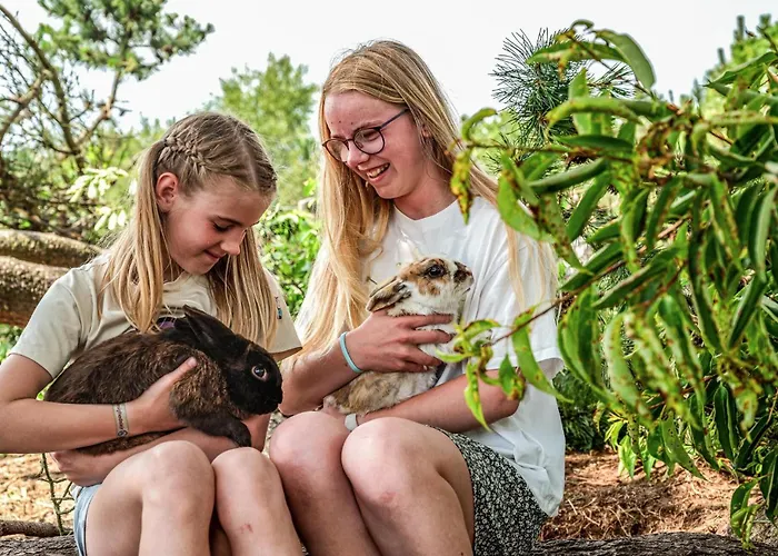 Holiday home Gorgeous In With Wifi Norre Nebel