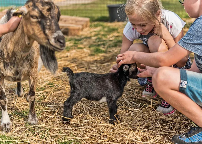 Gorgeous In With Wifi Holiday home Norre Nebel